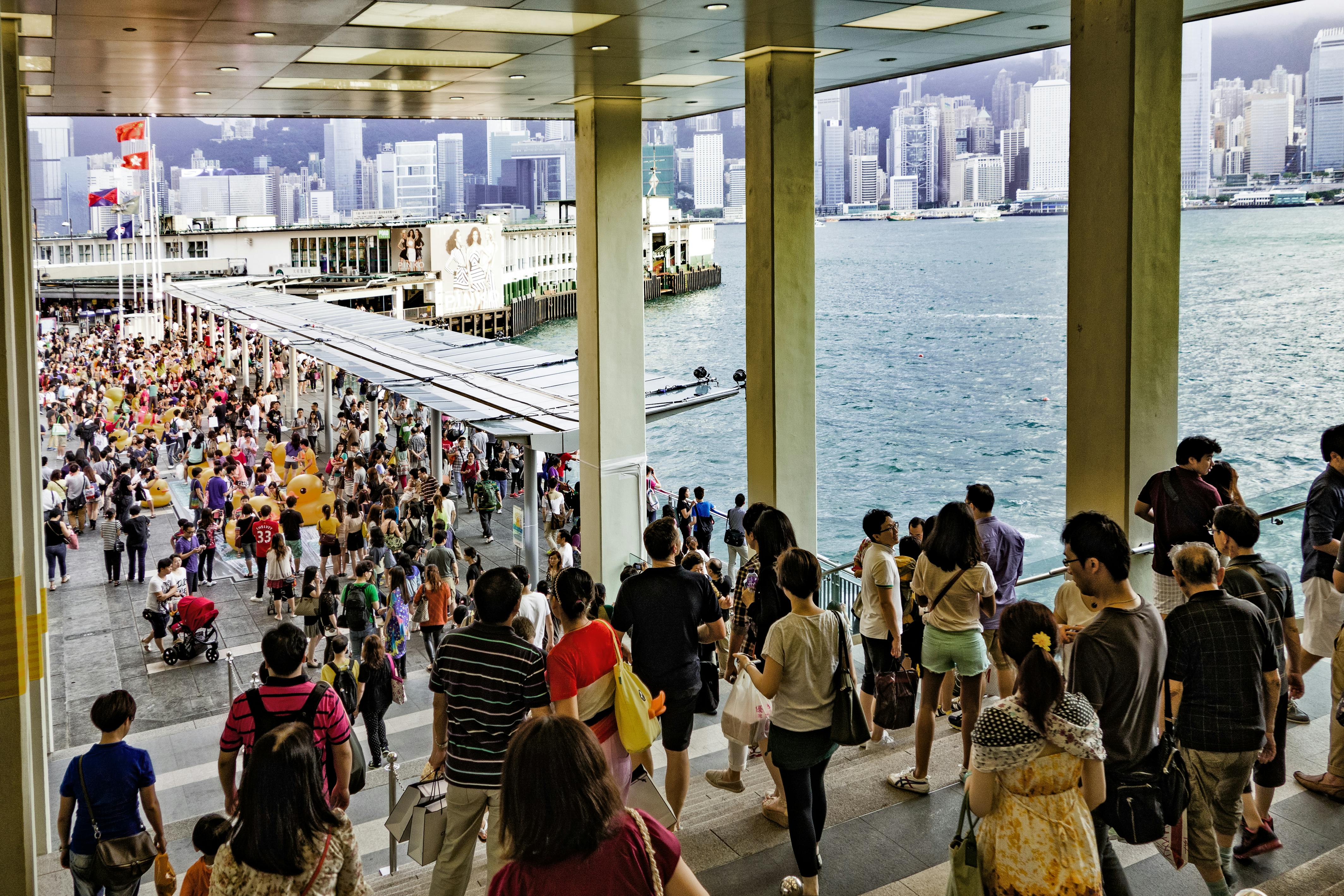 1774936348280230.jpg pexels-mali-233303.jpg